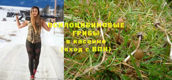 синтетический гашиш Карпинск