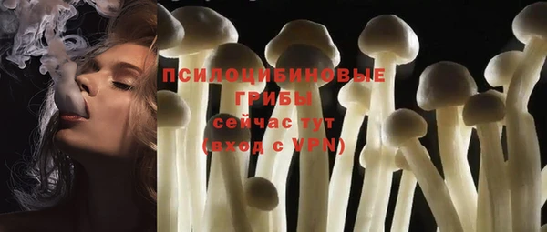 спайс Касимов