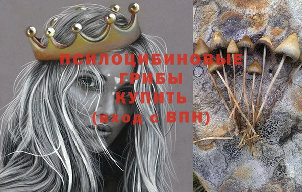 бутират Каменногорск