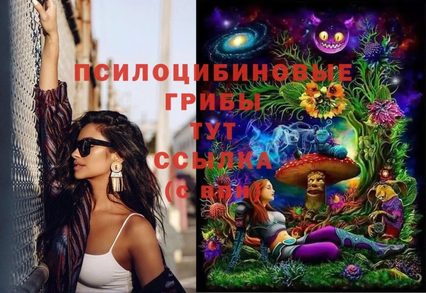 спайс Касимов
