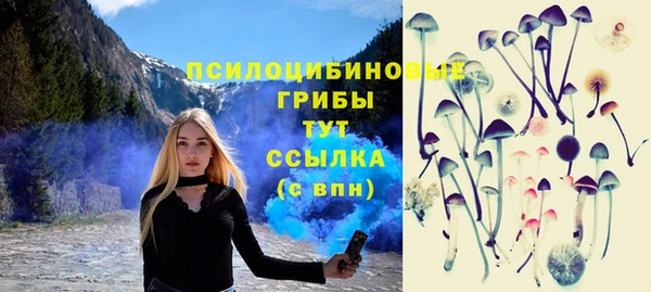 бутират Каменногорск