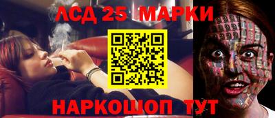 прущие грибы Можга