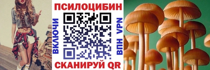 Псилоцибиновые грибы Cubensis  Евпатория 